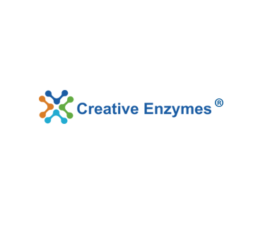 Creative Enzymes Creative Enzymes