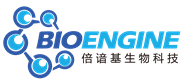 Shanghai BioEngine Sci-Tech Co Ltd