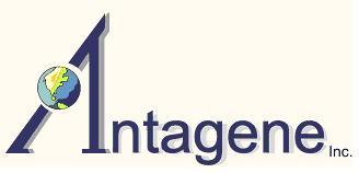 Antagene Inc