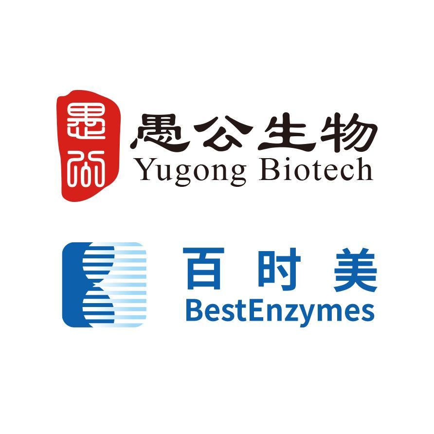 BestEnzymes Biotech Co Ltd