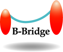 B-Bridge International Inc (Japan)