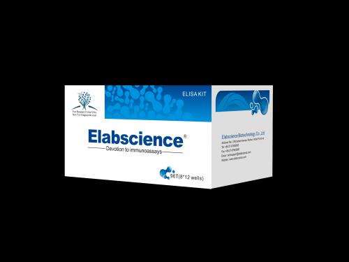 Elabscience biotech Co Ltd Elabscience biotech Co Ltd